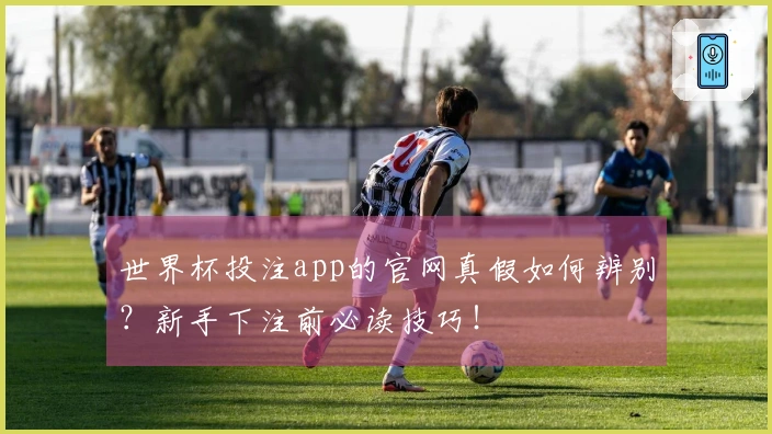 世界杯投注app的官网真假如何辨别？新手下注前必读技巧！