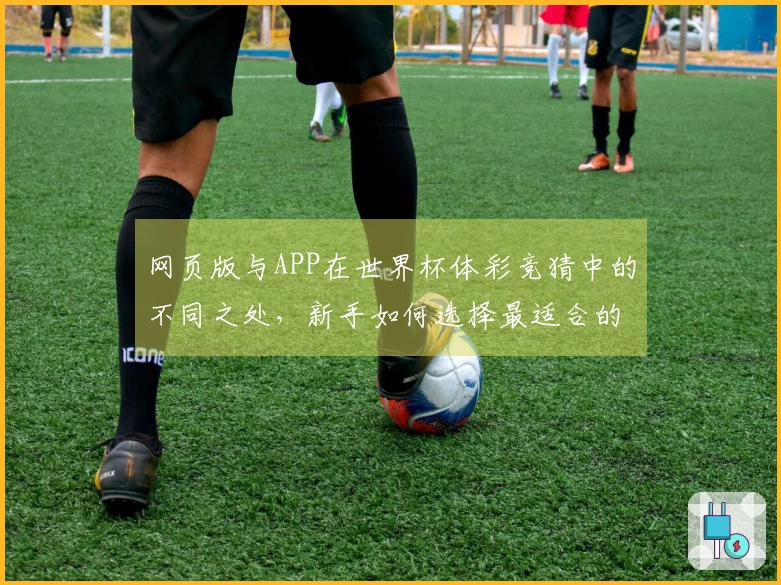 网页版与APP在世界杯体彩竞猜中的不同之处,新手如何选择最适合的投注方式