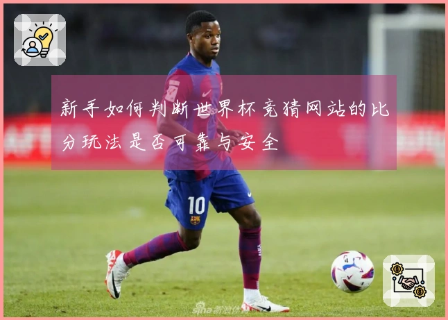 新手如何判断世界杯竞猜网站的比分玩法是否可靠与安全