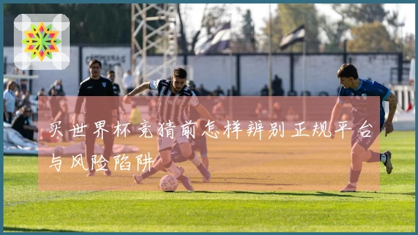 买世界杯竞猜前怎样辨别正规平台与风险陷阱
