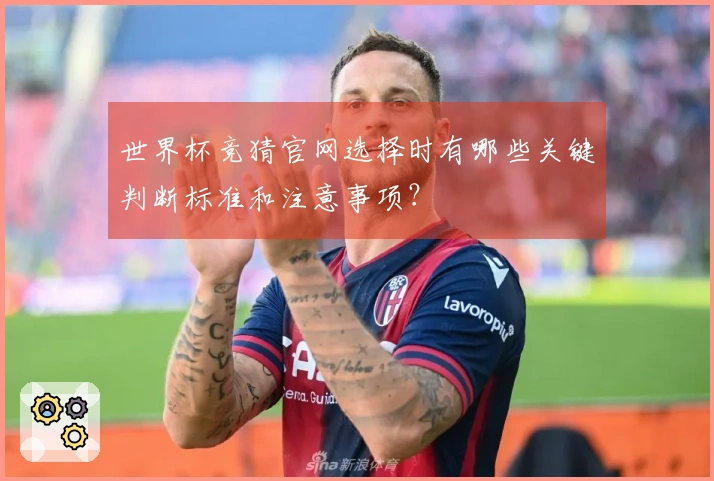 世界杯竞猜官网选择时有哪些关键判断标准和注意事项？