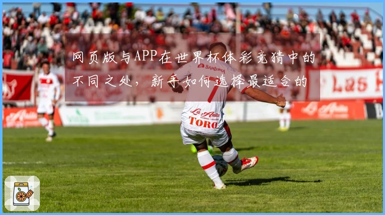 网页版与APP在世界杯体彩竞猜中的不同之处，新手如何选择最适合的投注方式