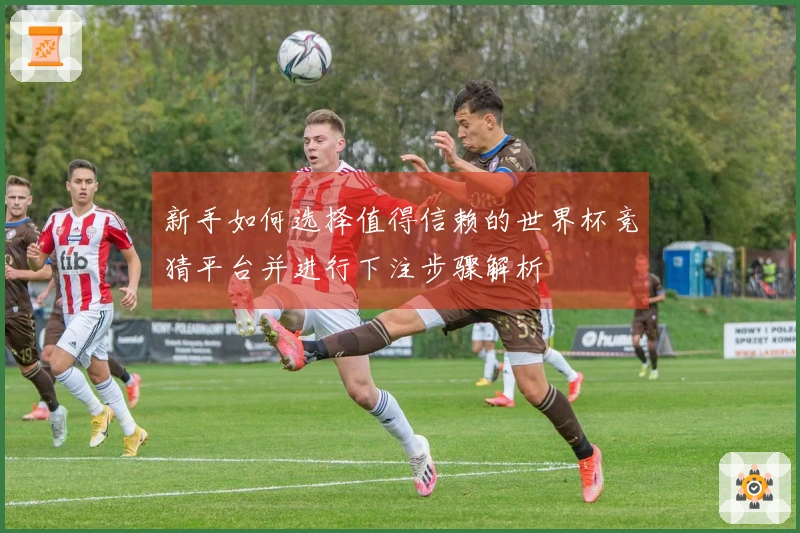 新手如何选择值得信赖的世界杯竞猜平台并进行下注步骤解析