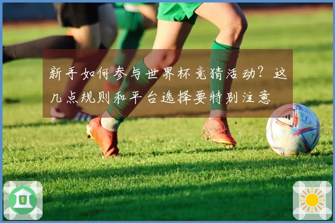 新手如何参与世界杯竞猜活动?这几点规则和平台选择要特别注意