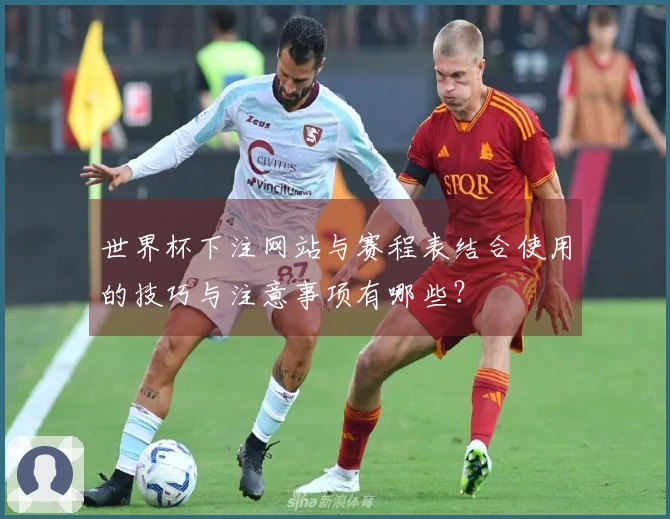 世界杯下注网站与赛程表结合使用的技巧与注意事项有哪些？