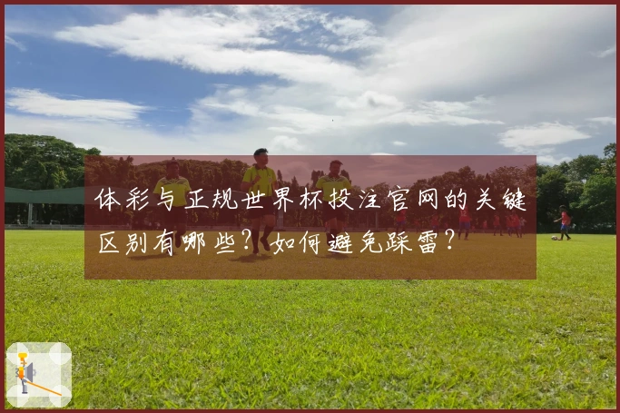 体彩与正规世界杯投注官网的关键区别有哪些?如何避免踩雷?