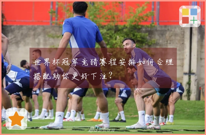世界杯冠军竞猜赛程安排如何合理搭配助你更好下注？