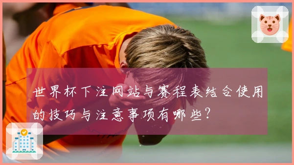 世界杯下注网站与赛程表结合使用的技巧与注意事项有哪些？