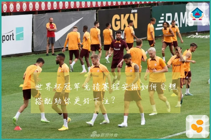 世界杯冠军竞猜赛程安排如何合理搭配助你更好下注？
