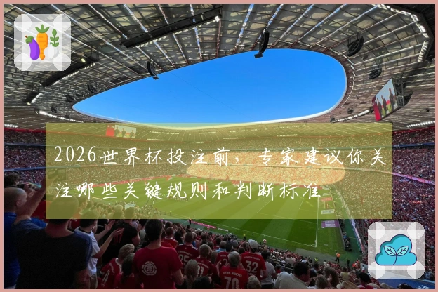 2026世界杯投注前，专家建议你关注哪些关键规则和判断标准