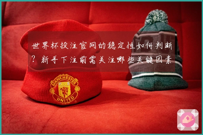 世界杯投注官网的稳定性如何判断？新手下注前需关注哪些关键因素