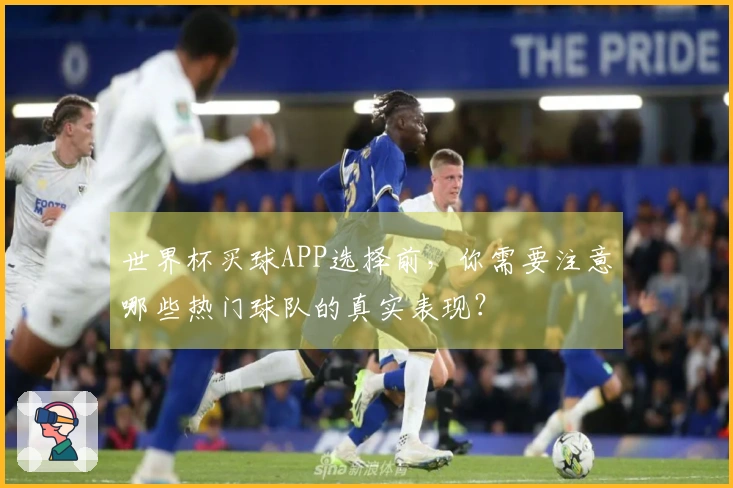 世界杯买球APP选择前，你需要注意哪些热门球队的真实表现？