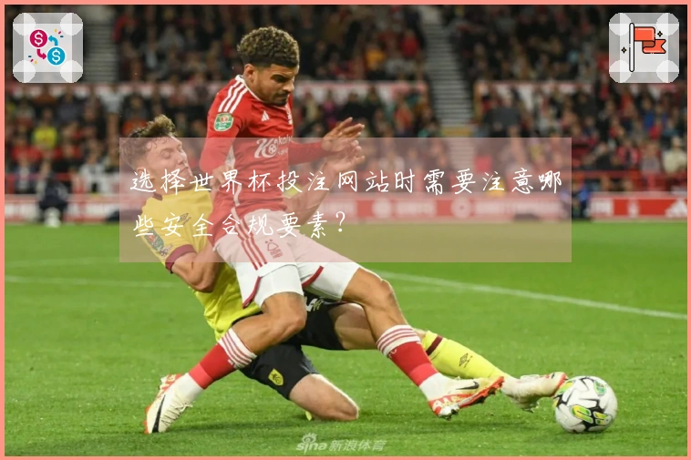 选择世界杯投注网站时需要注意哪些安全合规要素？