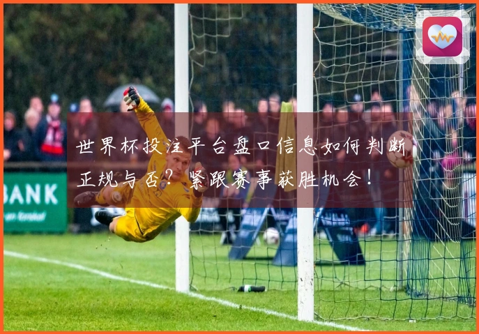 世界杯投注平台盘口信息如何判断正规与否？紧跟赛事获胜机会！