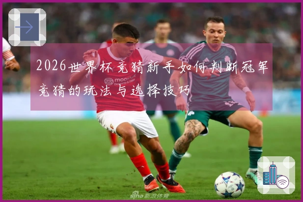2026世界杯竞猜新手如何判断冠军竞猜的玩法与选择技巧