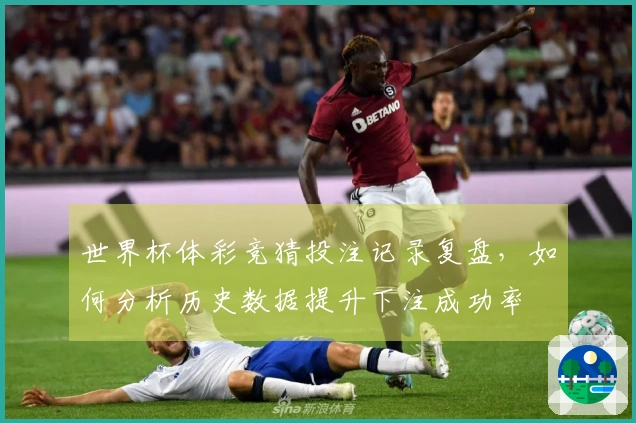 世界杯体彩竞猜投注记录复盘，如何分析历史数据提升下注成功率
